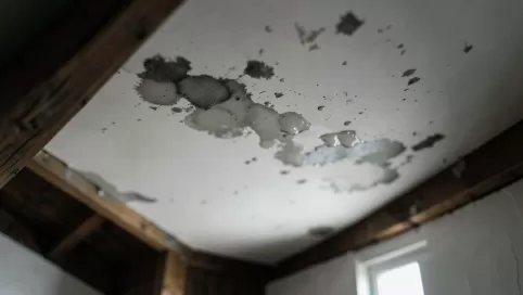 mokre plamy na płytach gipsowych